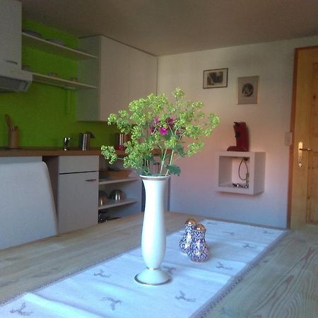 „Lebenslust“ Apartment Moeggers Luaran gambar